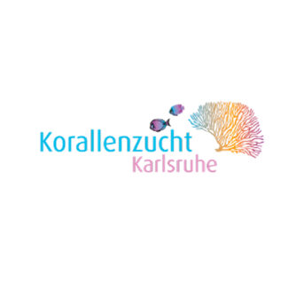 Korallenzucht Karlsruhe