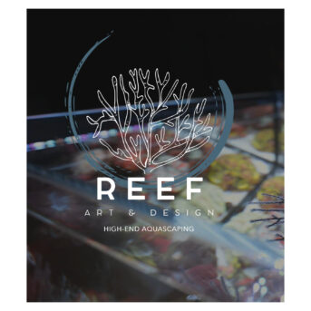 Reef Art & Design